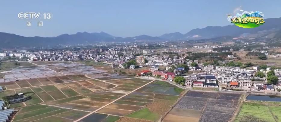 AI模型、“北斗”、物聯(lián)網(wǎng)……智慧農(nóng)業(yè)成為田間地頭新常態(tài)(圖13)